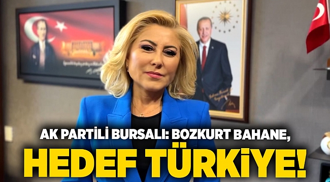 AK Partili Bursalı: 