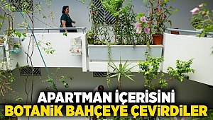 Apartman içerisini botanik bahçeye çevirdiler