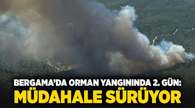 Bergama'da orman yangınında 2. gün: Müdahale sürüyor...