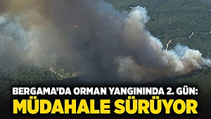 Bergama'da orman yangınında 2. gün: Müdahale sürüyor...