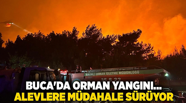 Buca'da orman yangını... Alevlere müdahale sürüyor