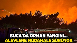 Buca'da orman yangını... Alevlere müdahale sürüyor