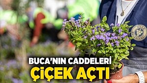 Buca’nın caddeleri çiçek açtı