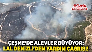 Çeşme'de alevler büyüyor: Lal Denizli'den yardım çağrısı!