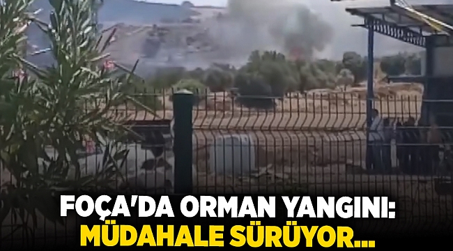 Foça'da orman yangını: Müdahale sürüyor...