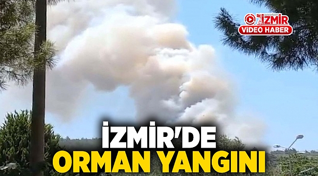 İzmir'de orman yangını: Havadan ve karadan müdahale ediliyor