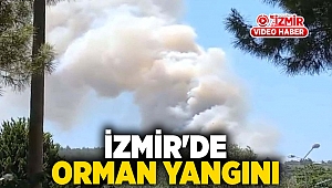 İzmir'de orman yangını: Havadan ve karadan müdahale ediliyor