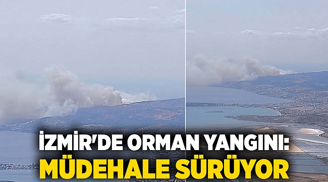 İzmir'de orman yangını: Müdahale sürüyor
