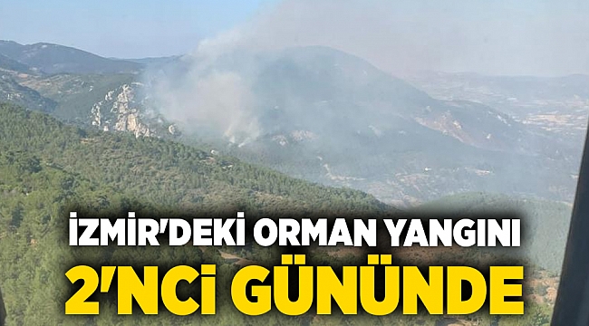 İzmir'deki orman yangını 2'nci gününde