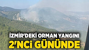 İzmir'deki orman yangını 2'nci gününde