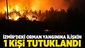 İzmir'deki orman yangınına ilişkin 1 zanlı tutuklandı