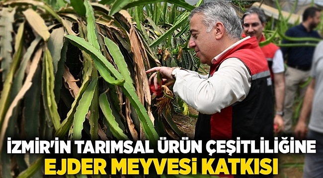 İzmir'in Tarımsal Ürün Çeşitliliğine Ejder Meyvesi Katkısı