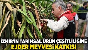 İzmir'in Tarımsal Ürün Çeşitliliğine Ejder Meyvesi Katkısı