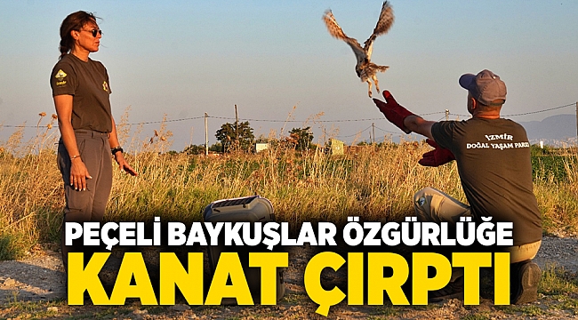 Peçeli baykuşlar özgürlüğe kanat çırptı