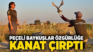 Peçeli baykuşlar özgürlüğe kanat çırptı