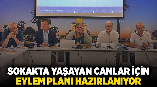 Sokakta yaşayan canlar için eylem planı hazırlanıyor