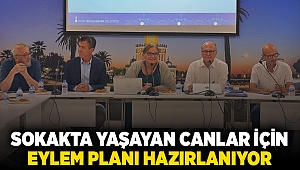 Sokakta yaşayan canlar için eylem planı hazırlanıyor