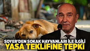 Soyer'den sokak hayvanları ile ilgili yasa teklifine tepki