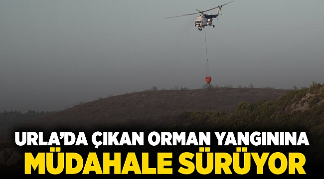 Urla’da çıkan orman yangınına müdahale sürüyor