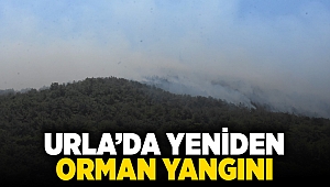 Urla'da yeniden orman yangını