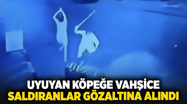 Uyuyan köpeğe vahşice saldıranlar gözaltına alındı