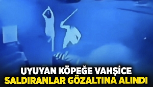 Uyuyan köpeğe vahşice saldıranlar gözaltına alındı