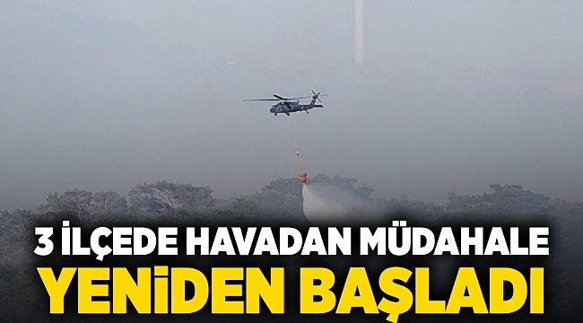 3 ilçede havadan müdahale yeniden başladı