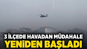 3 ilçede havadan müdahale yeniden başladı