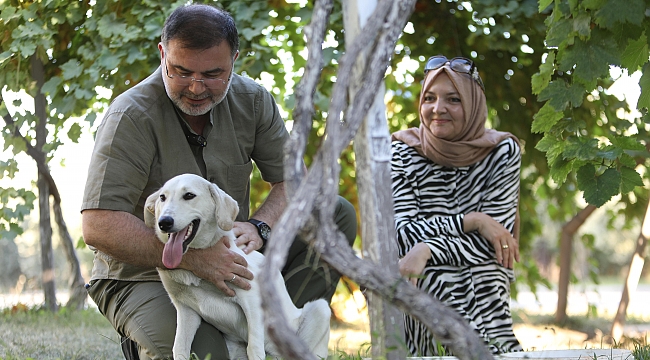 AK Parti İzmir İl Başkanı Bilal Saygılı, iki sokak köpeğini sahiplendi