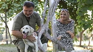 AK Parti İzmir İl Başkanı Bilal Saygılı, iki sokak köpeğini sahiplendi