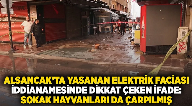 Alsancak’ta yaşanan elektrik faciası iddianamesinde dikkat çeken ifade: Sokak hayvanları da çarpılmış