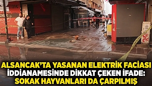 Alsancak’ta yaşanan elektrik faciası iddianamesinde dikkat çeken ifade: Sokak hayvanları da çarpılmış