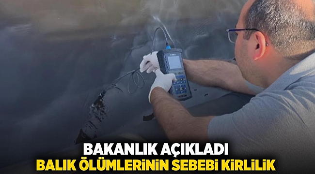 Bakanlık açıkladı; balık ölümlerinin sebebi kirlilik