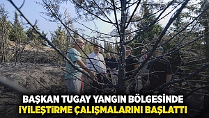 Başkan Tugay yangın bölgesinde iyileştirme çalışmalarını başlattı