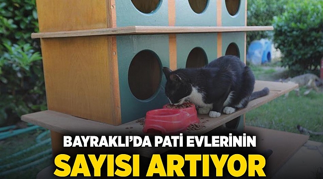 Bayraklı'da pati evlerinin sayısı artıyor