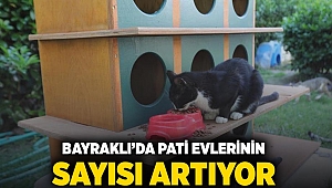 Bayraklı'da pati evlerinin sayısı artıyor