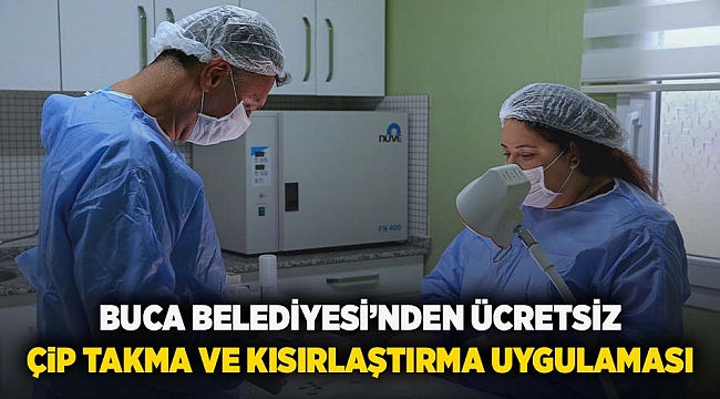 Buca Belediyesi’nden ücretsiz çip takma ve kısırlaştırma uygulaması