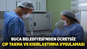 Buca Belediyesi’nden ücretsiz çip takma ve kısırlaştırma uygulaması