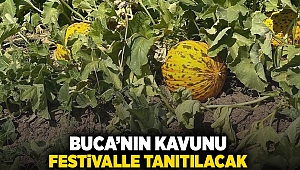 Buca’nın kavunu festivalle tanıtılacak