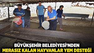 Büyükşehir Belediyesi’nden merasız kalan hayvanlar yem desteği