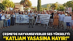 Çeşme'de hayvanseverler ses yükseltti: 