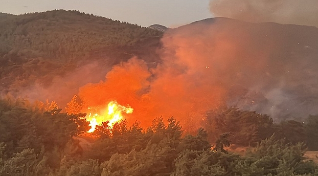 Ege'de yangın kabusu: Aydın ve Muğla'daki alevlere müdahalede 2. gün