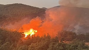 Ege'de yangın kabusu: Aydın ve Muğla'daki alevlere müdahalede 2. gün