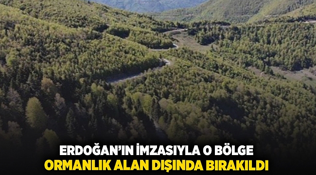 Erdoğan'ın imzasıyla o bölge ormanlık alan dışında bırakıldı