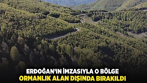 Erdoğan'ın imzasıyla o bölge ormanlık alan dışında bırakıldı