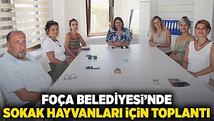 Foça Belediyesi ve Hayvan Hakları Dernekleri, Sokak Hayvanları İçin Bir Araya Geldi