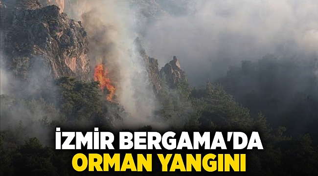 İzmir Bergama'da orman yangını