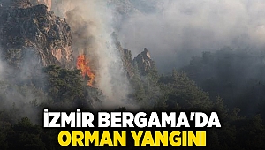 İzmir Bergama'da orman yangını