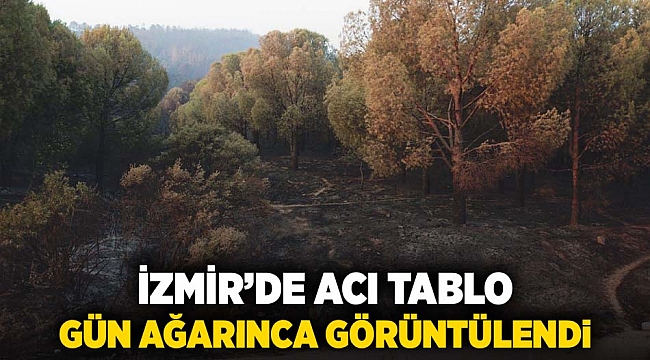 İzmir'de acı tablo gün ağarınca görüntülendi