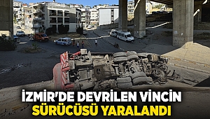 İzmir'de devrilen vincin sürücüsü yaralandı